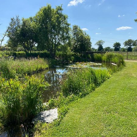 Le Jardin Des Sens Villa Chasne-sur-Illet Eksteriør billede